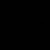 quanini
